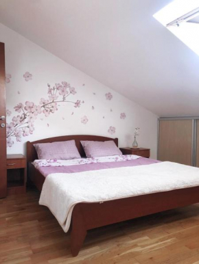 Cherry apartment